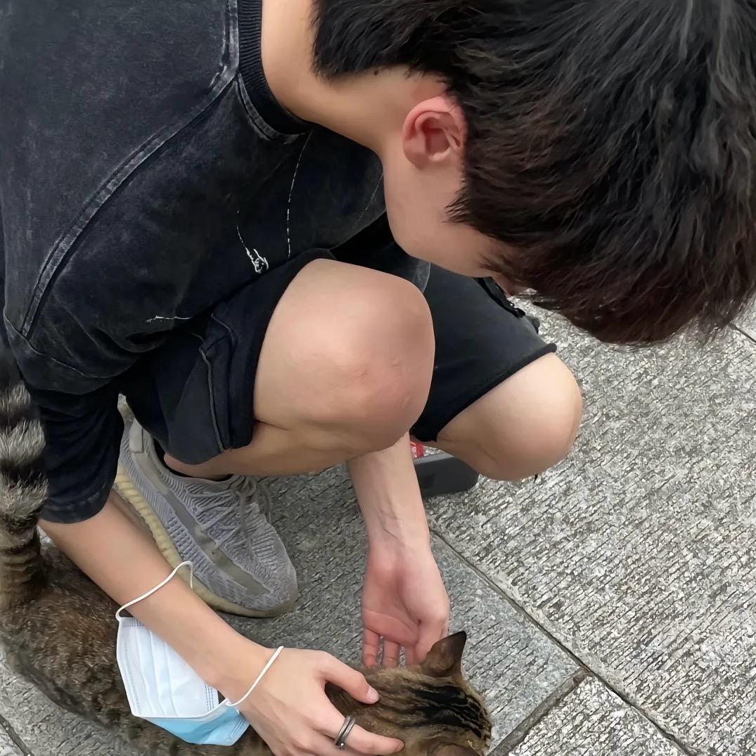 愙歖