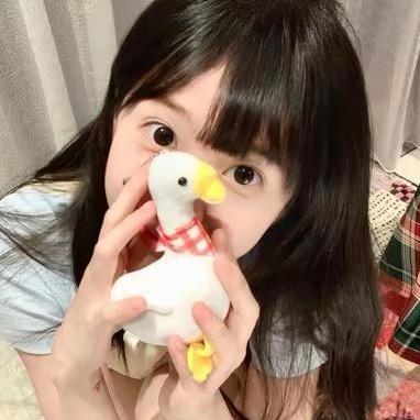睡着的猫