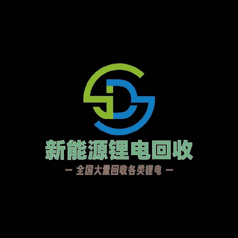 专业锂电池拆解循环利用