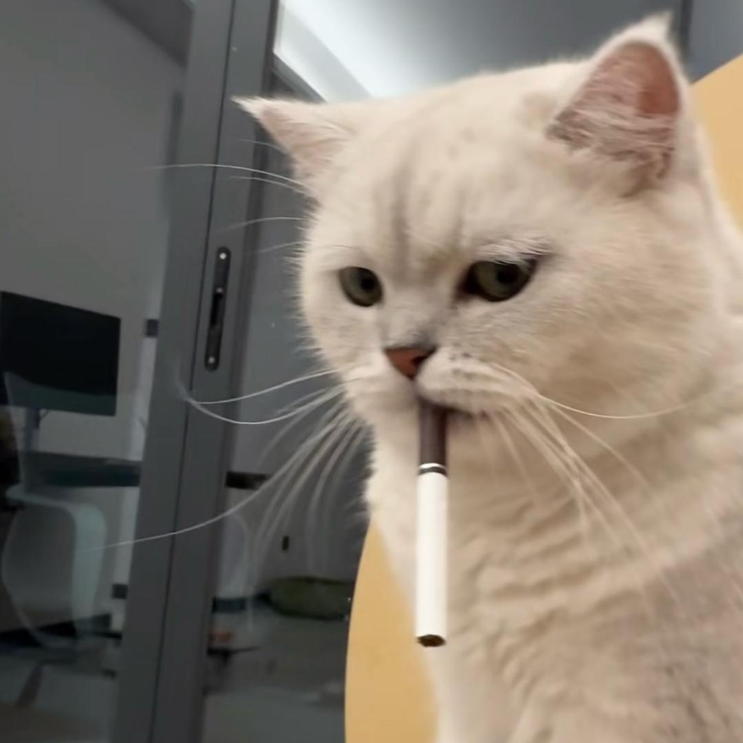 别让坏情绪左右你