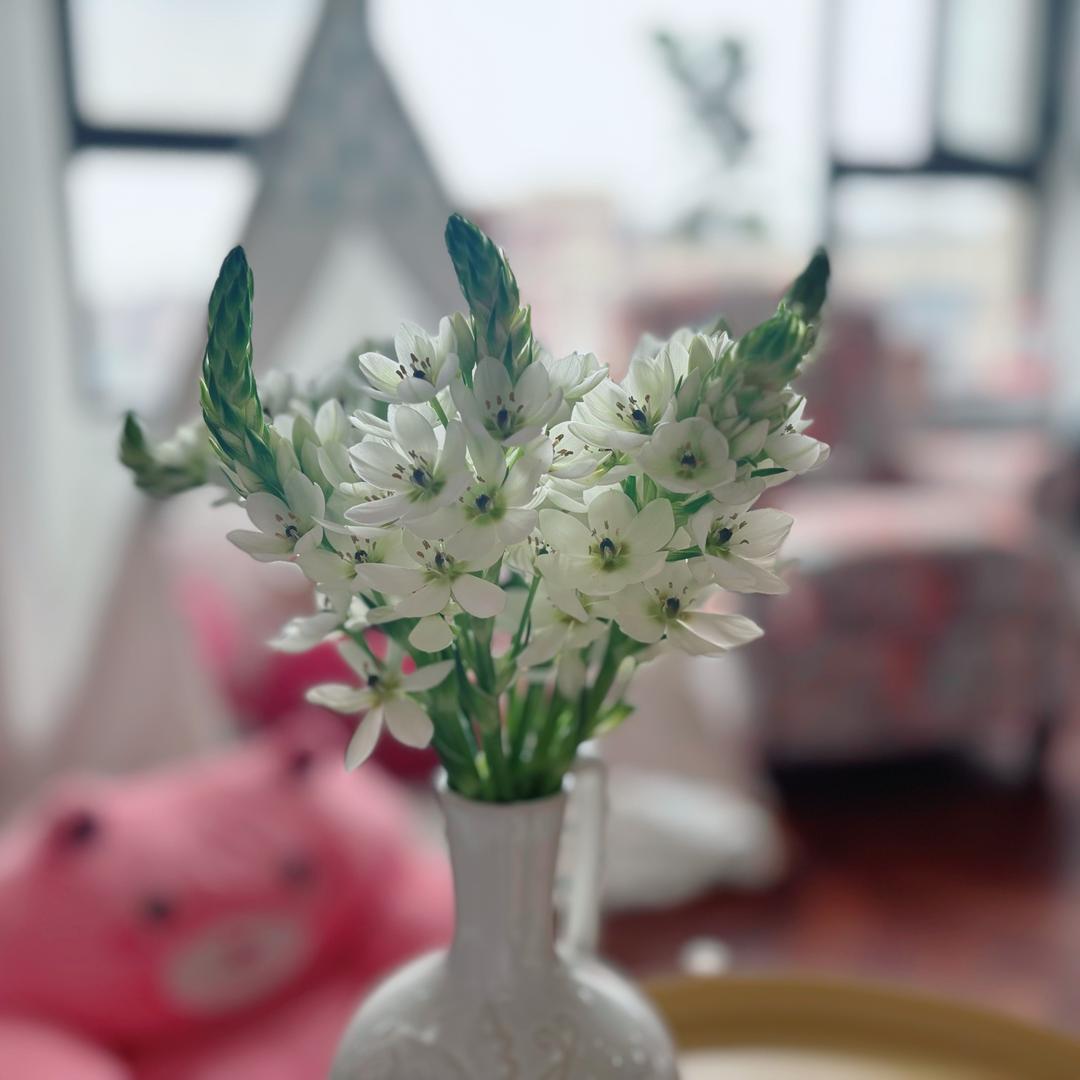 是夏颜颜呀