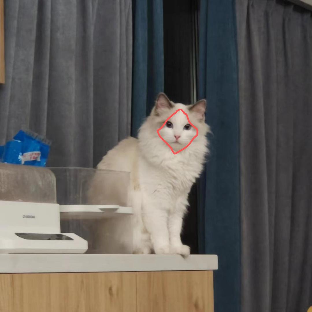 宠夕猫砂工厂店