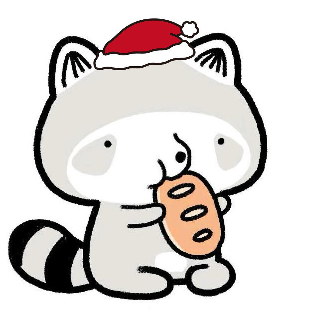 浣熊无二天天见