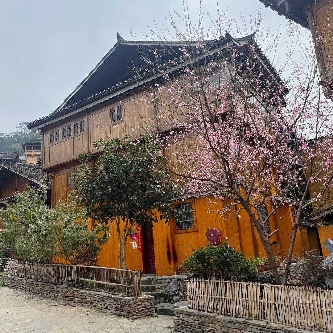 乡村 户外