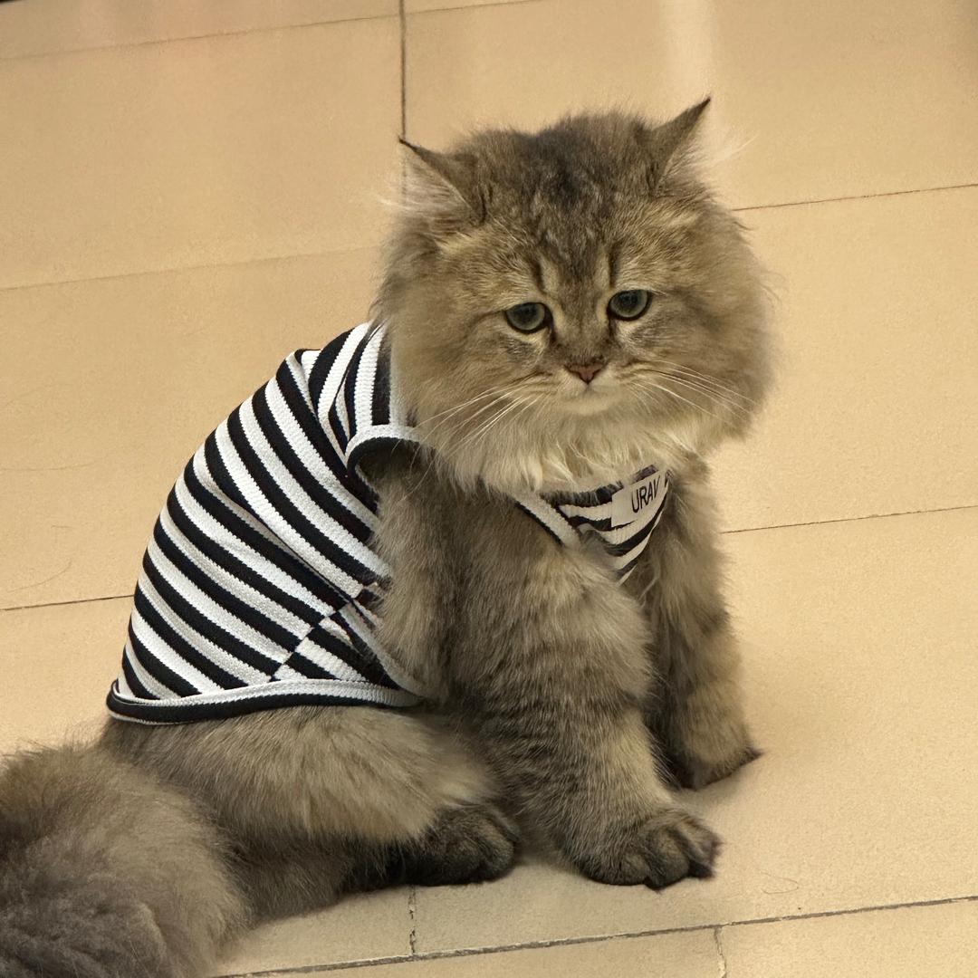 敏.