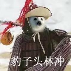 豹子头