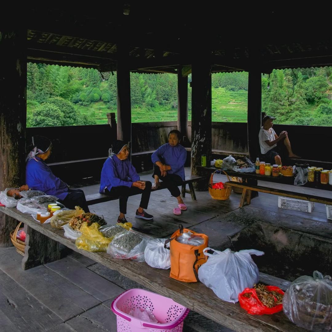 跑山小龙收土鸭