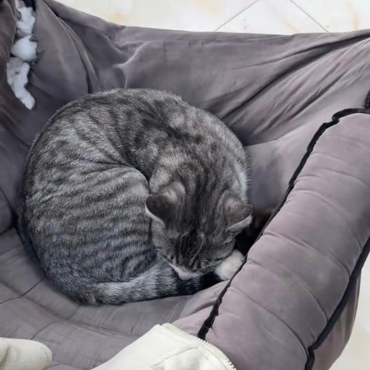 ರ_ರ 心塞！！！