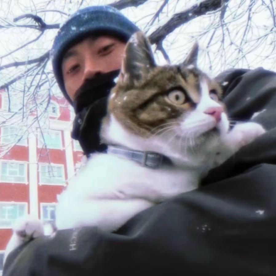 皮皮是只猫🐱·