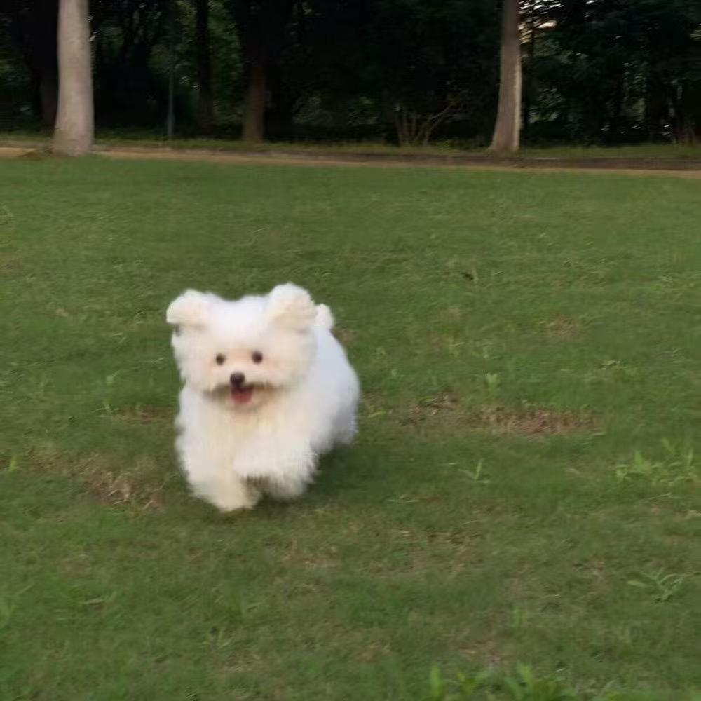 日历公主🩵🧸