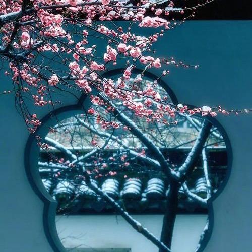 小玉💍