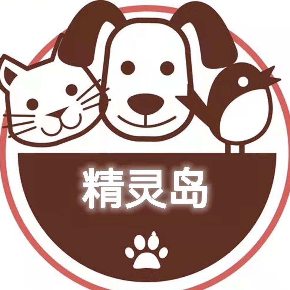 天津市河西区精灵宠物店