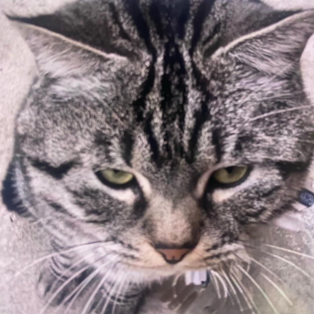 时间轮回刮刮乐