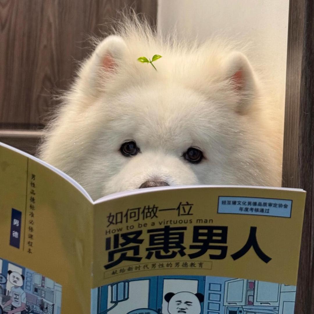 回忆季节