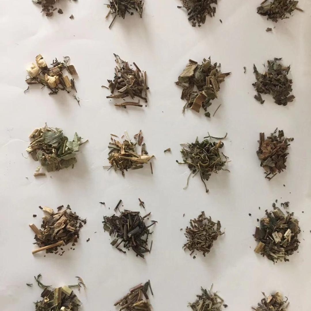 本草求真