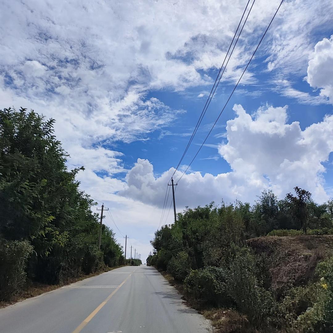 冒泡泡🫧