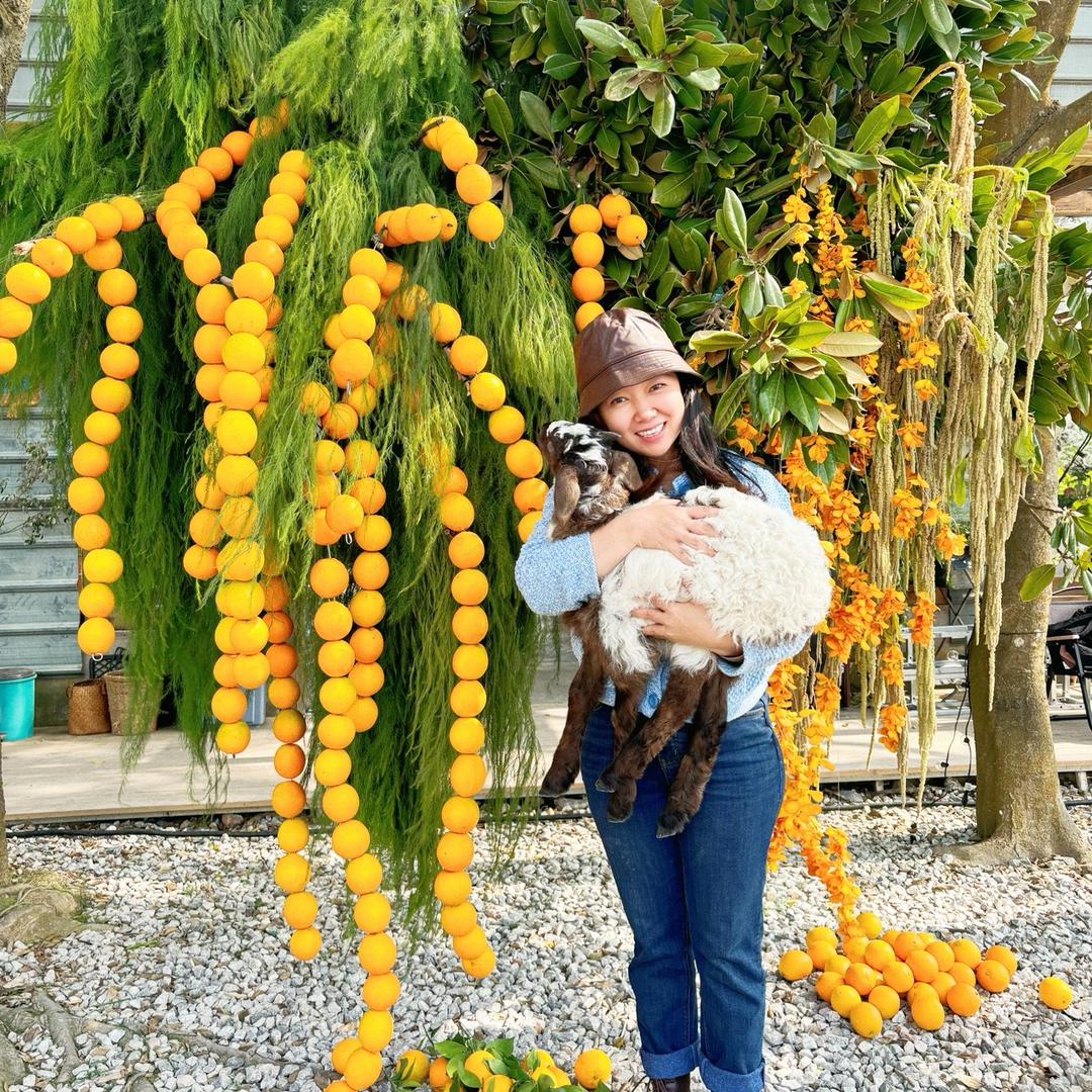 诺妈母婴好物分享
