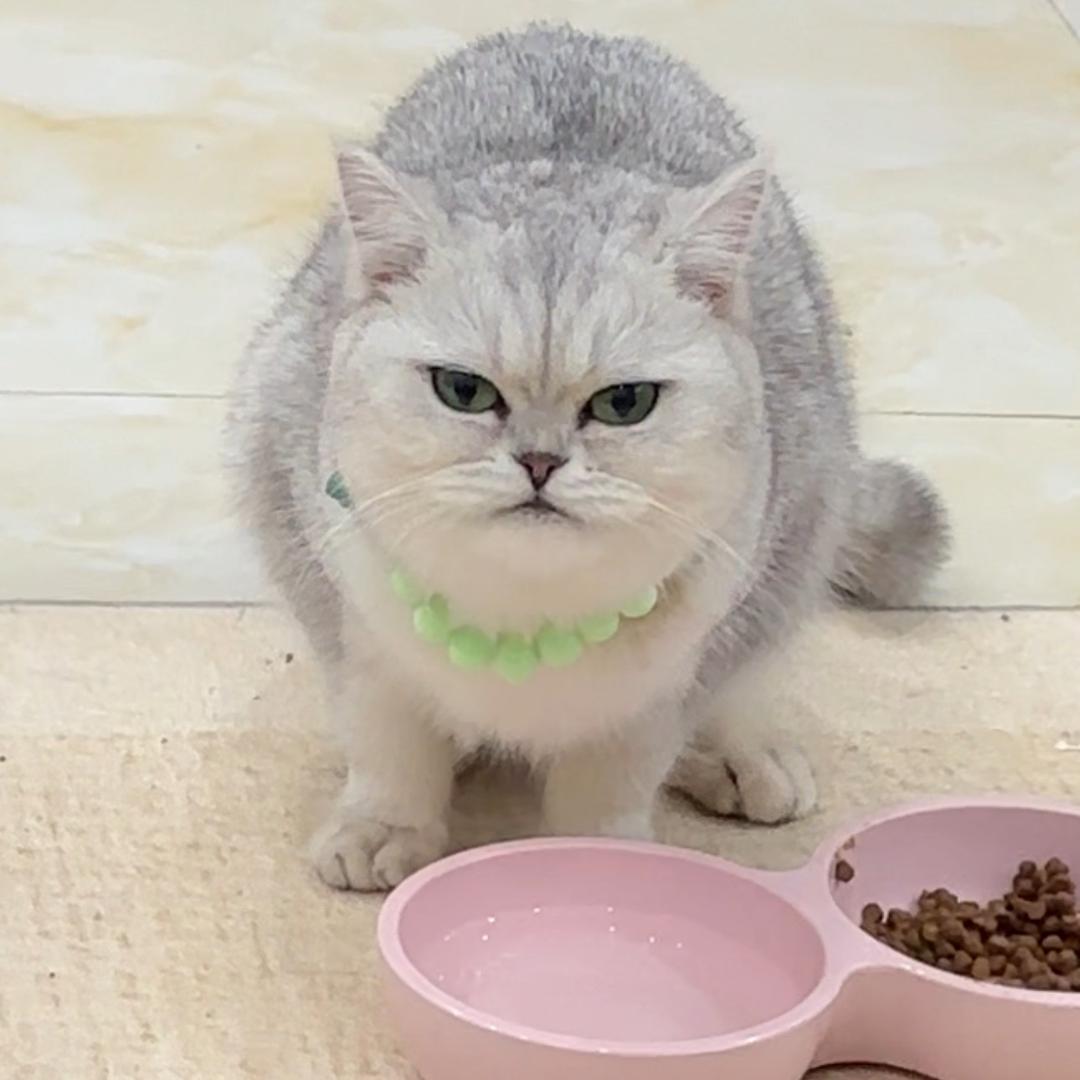 大钢子茶叶