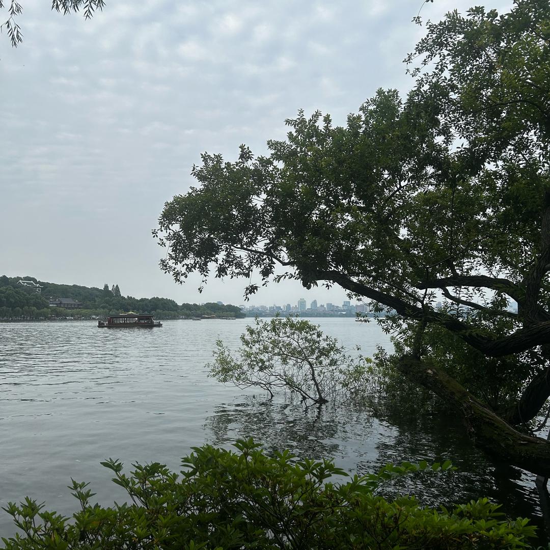 拉拉