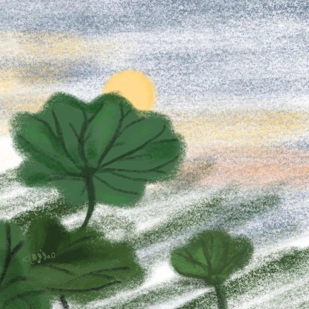 在美好的晚上🎑