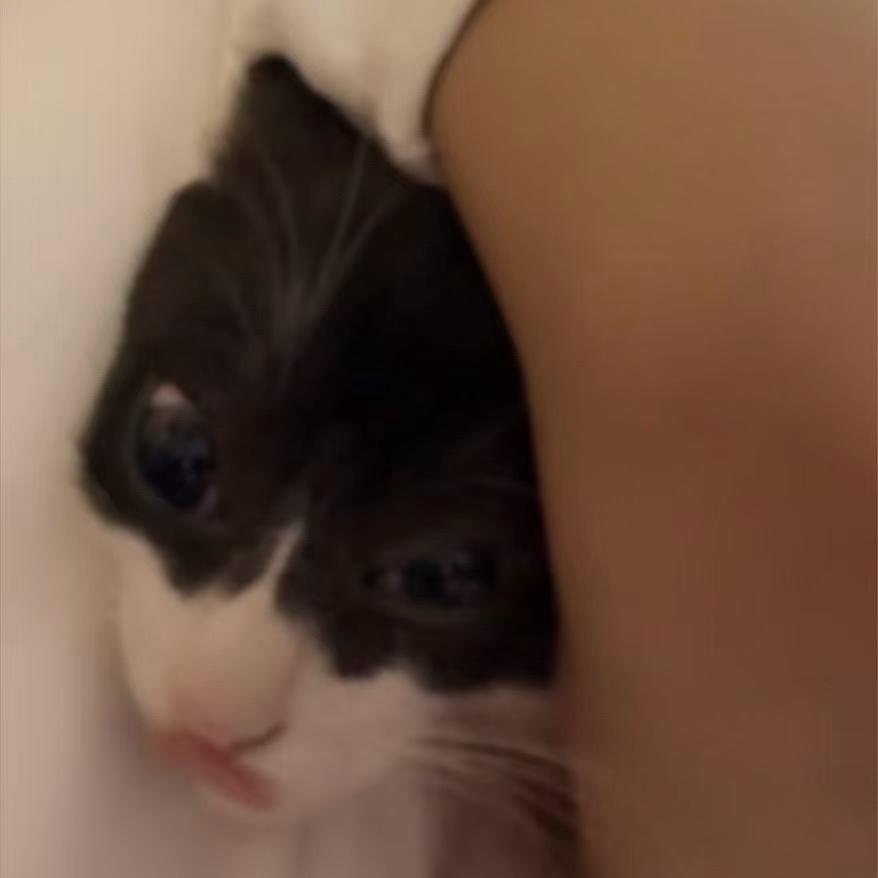 O.o芽炫.