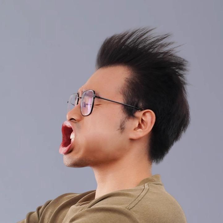 海豹厂长hibstorm（暴力风扇）