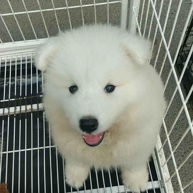 @搬砖的人