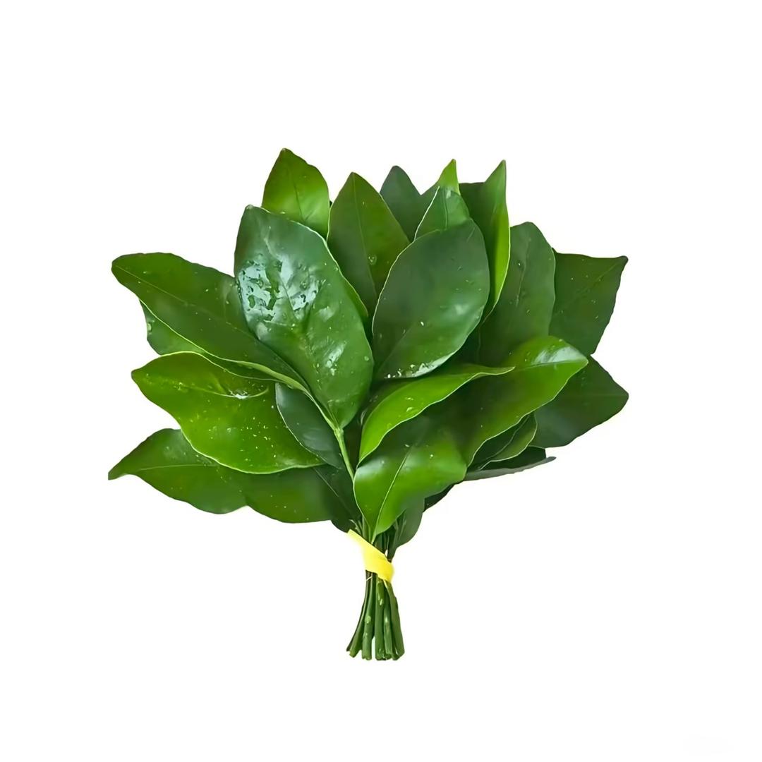 乐意李 -