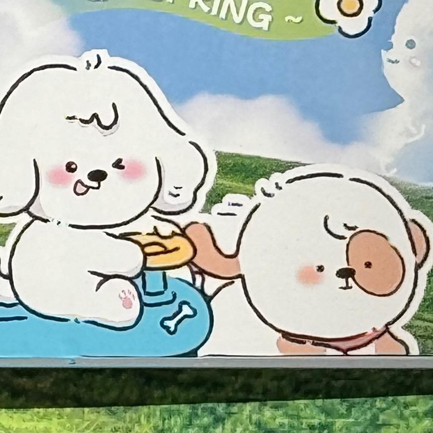咋乐乐