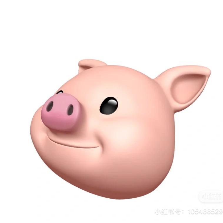 李不靠谱