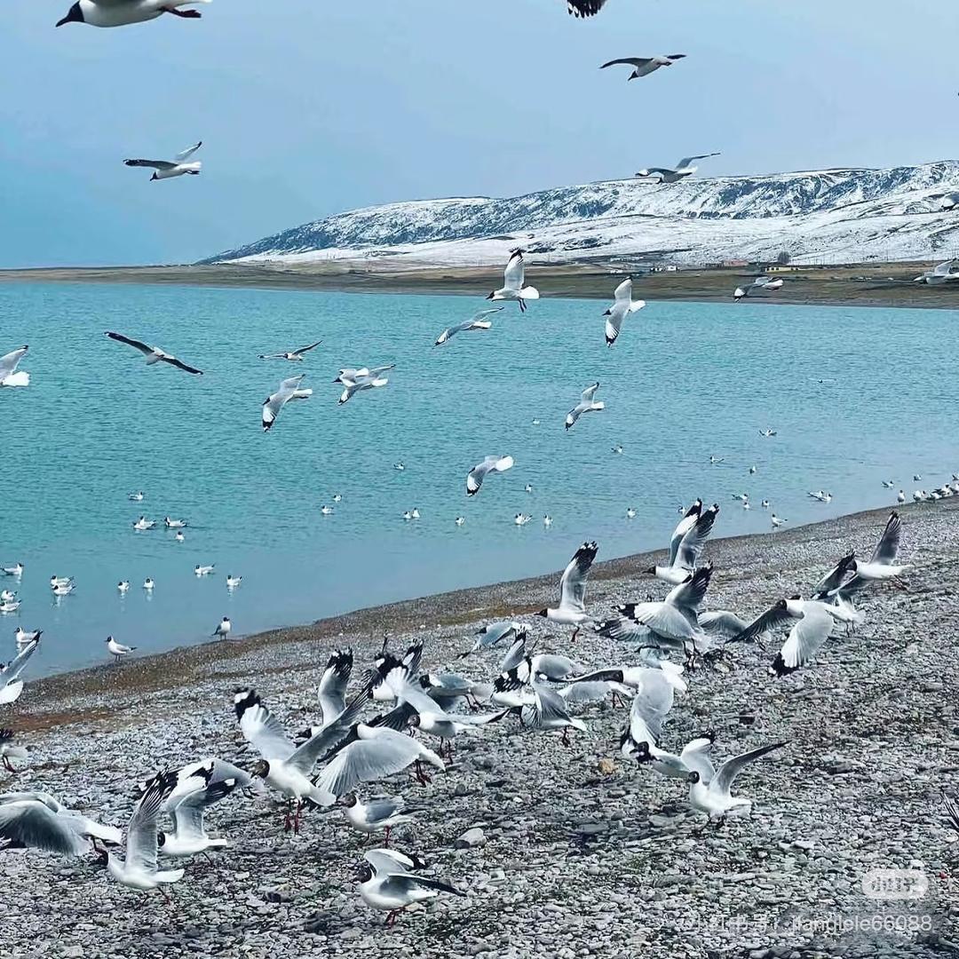 不发脾气，只发财