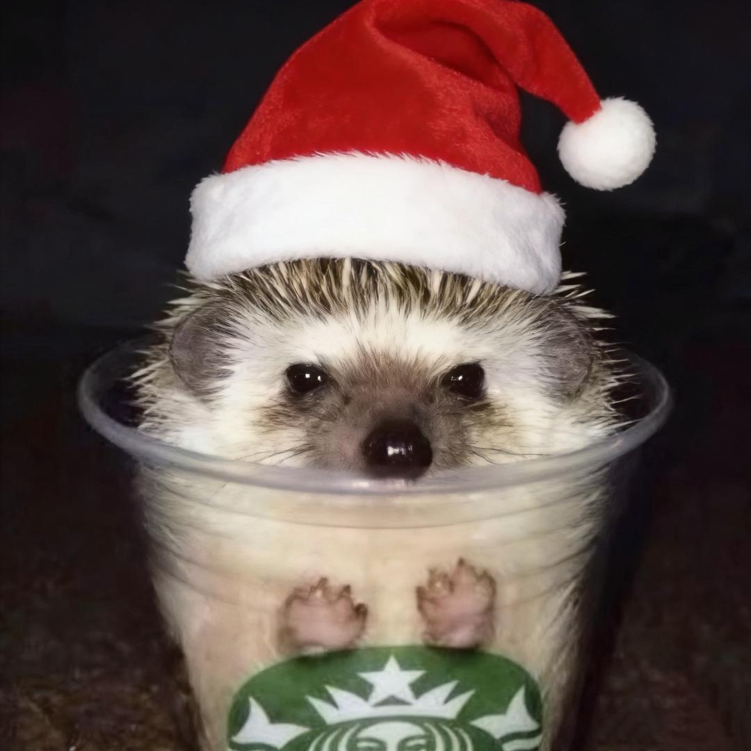 食用型豆制品（攒例图版