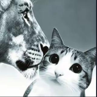 美少男菊花杀手