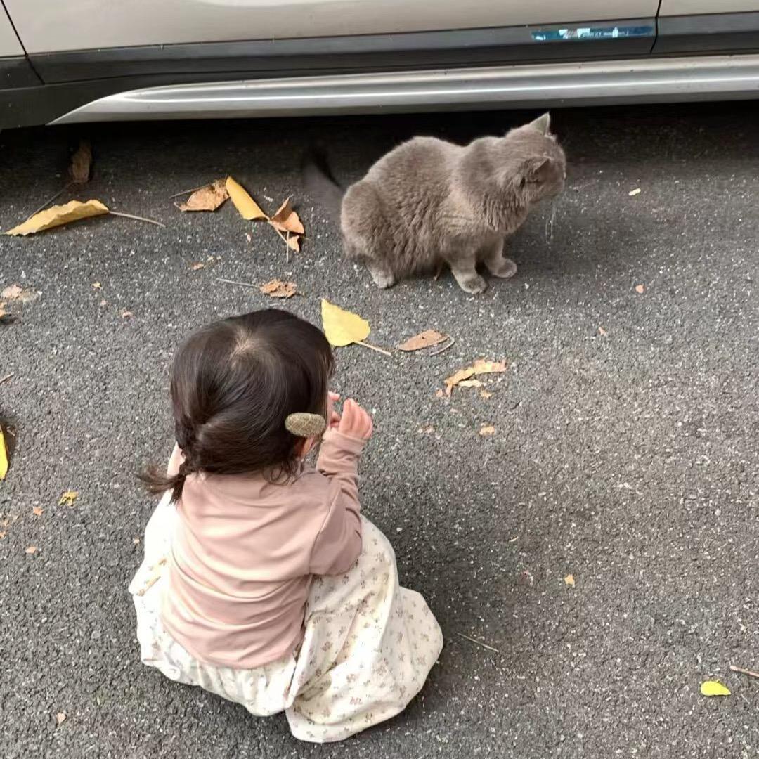 小九