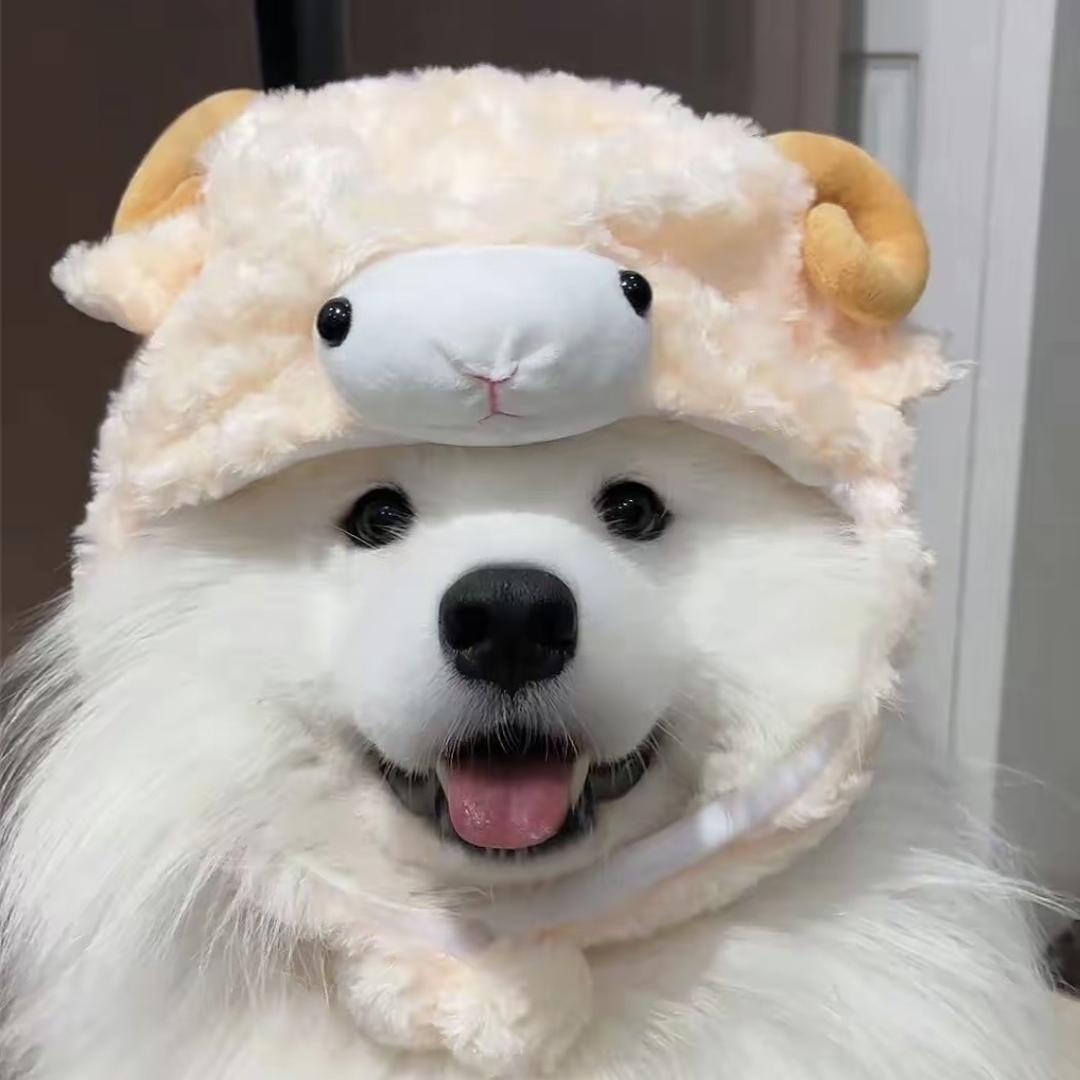 加点葱
