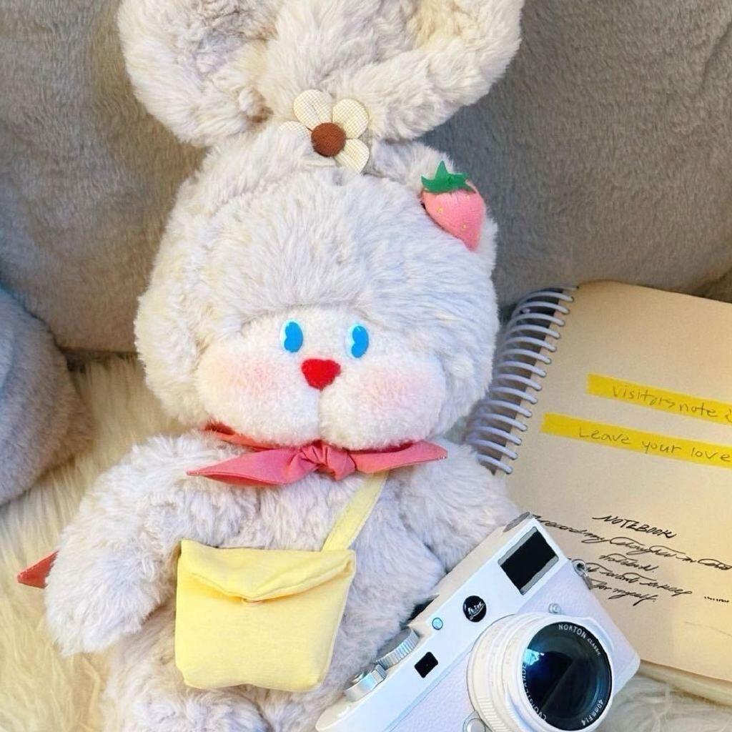 小🐑🐑