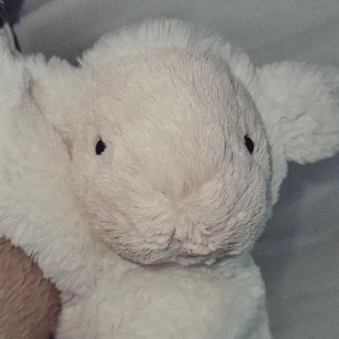 老实憨厚讲礼貌