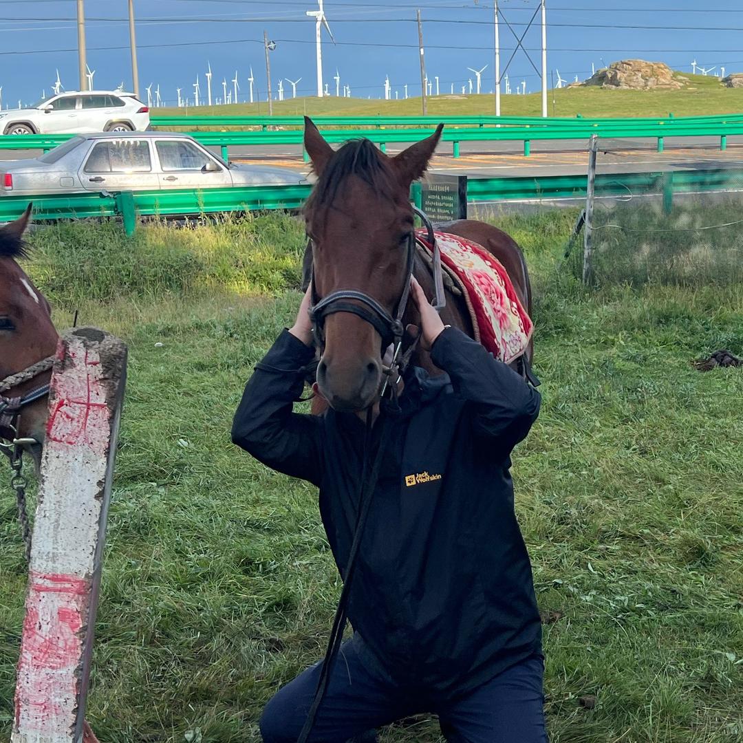 去有风的地方👾