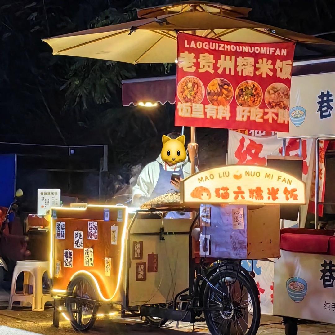 夜晚的糯米（电子打饭人-）