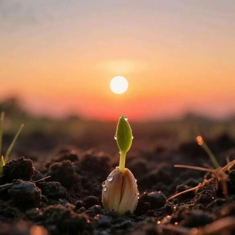 欣薇-古方神草加盟电