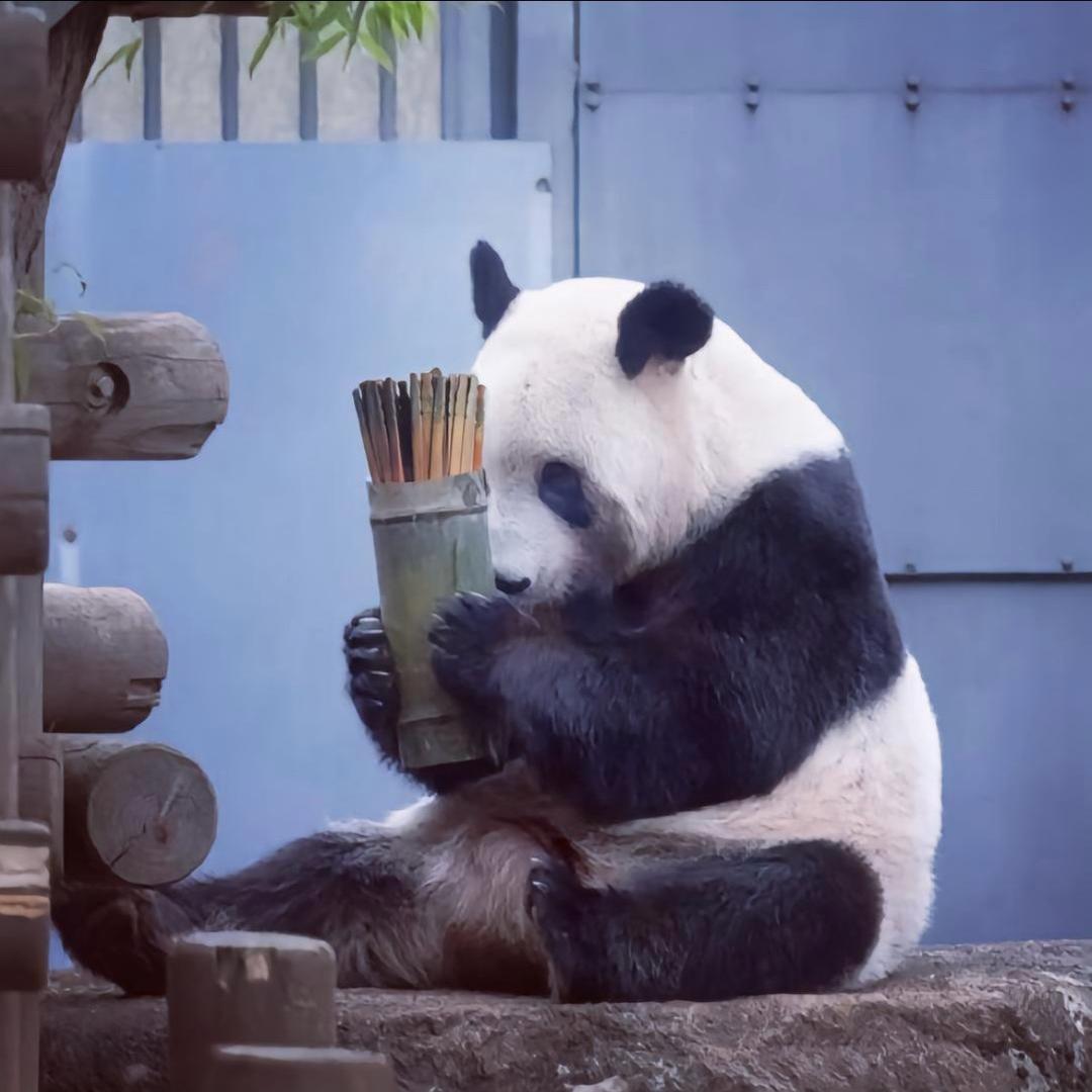 𝐿𝑙𝑖𝑢头像