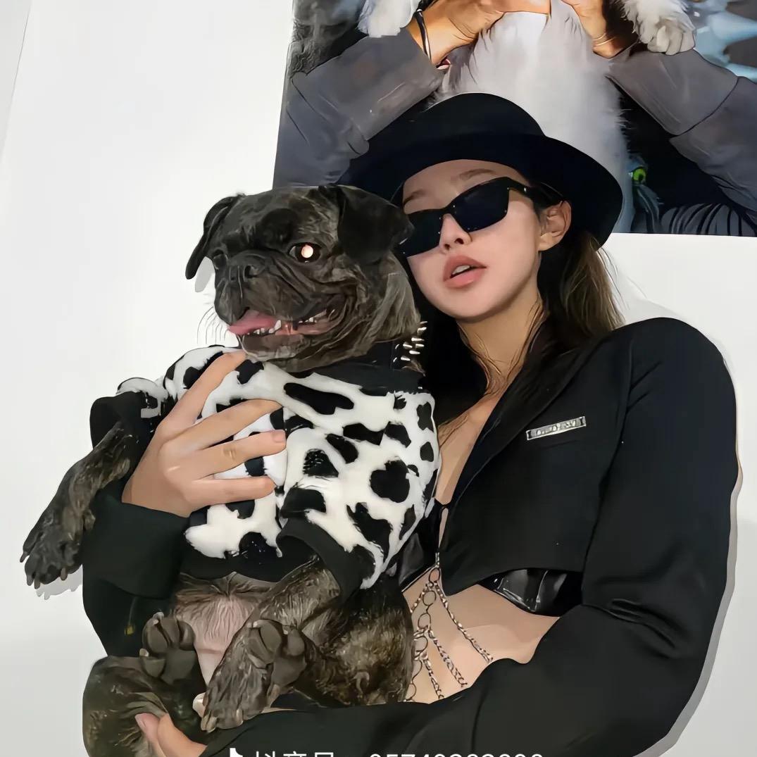 ❔山坡上的蒲公英✨