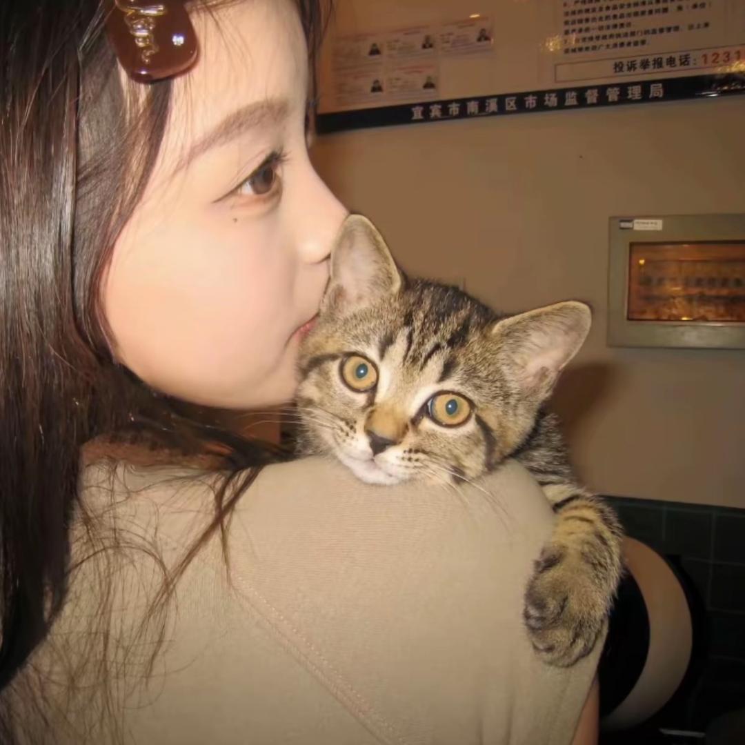 蛙西西