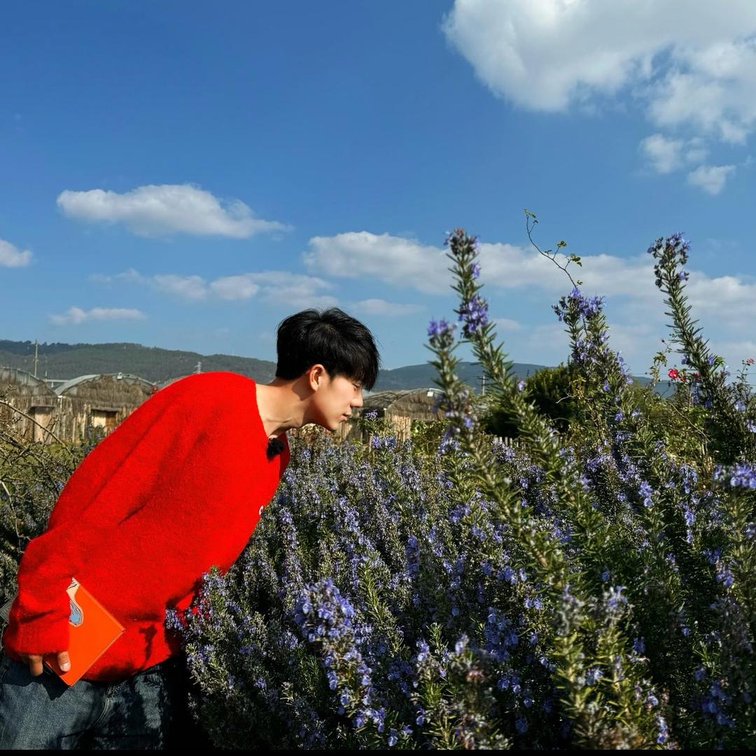 会飞的生菜爱吃香菜（见过十个勤天版