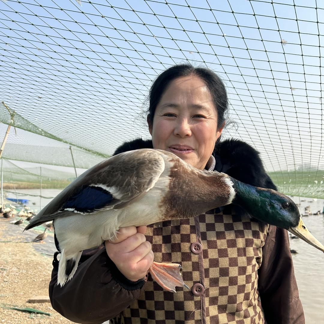飞鸭婶小店