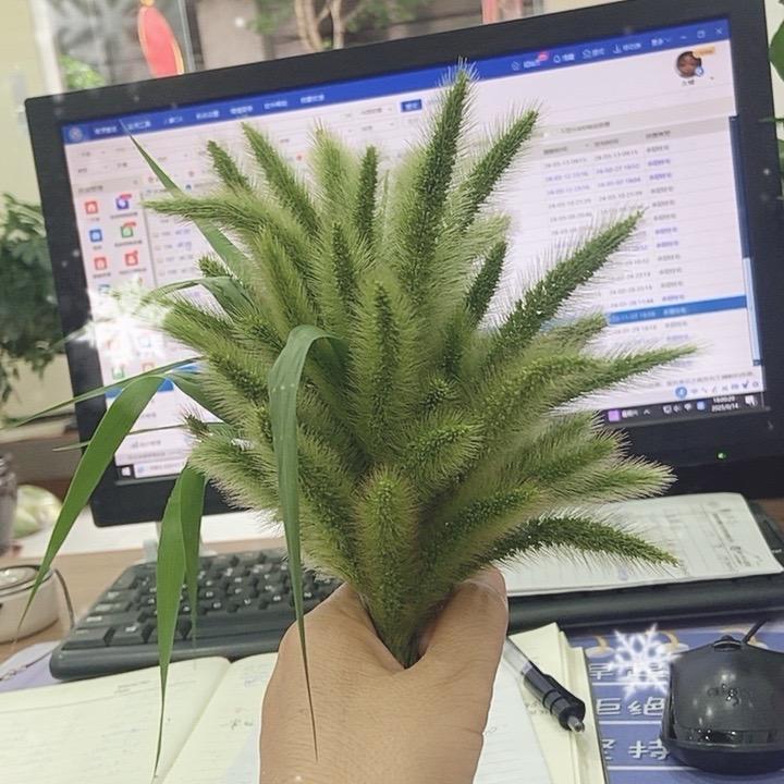 房产导购员左🌹🌹🌹