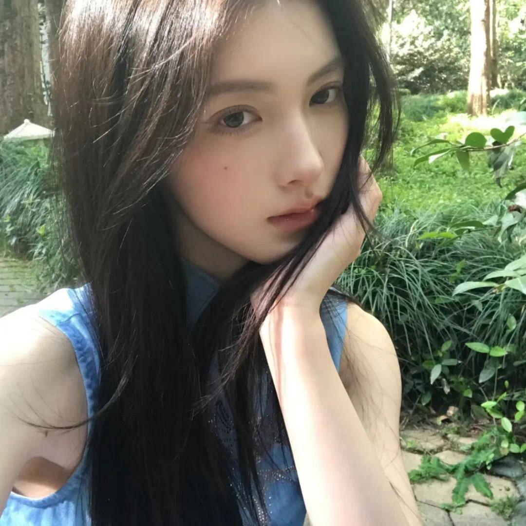 养只猫-
