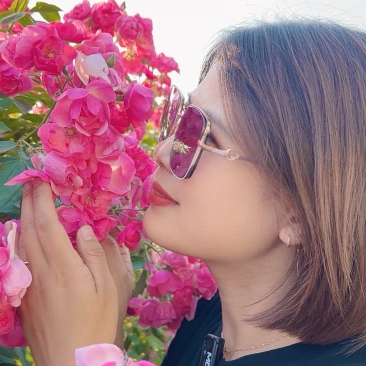 小燕子探美食