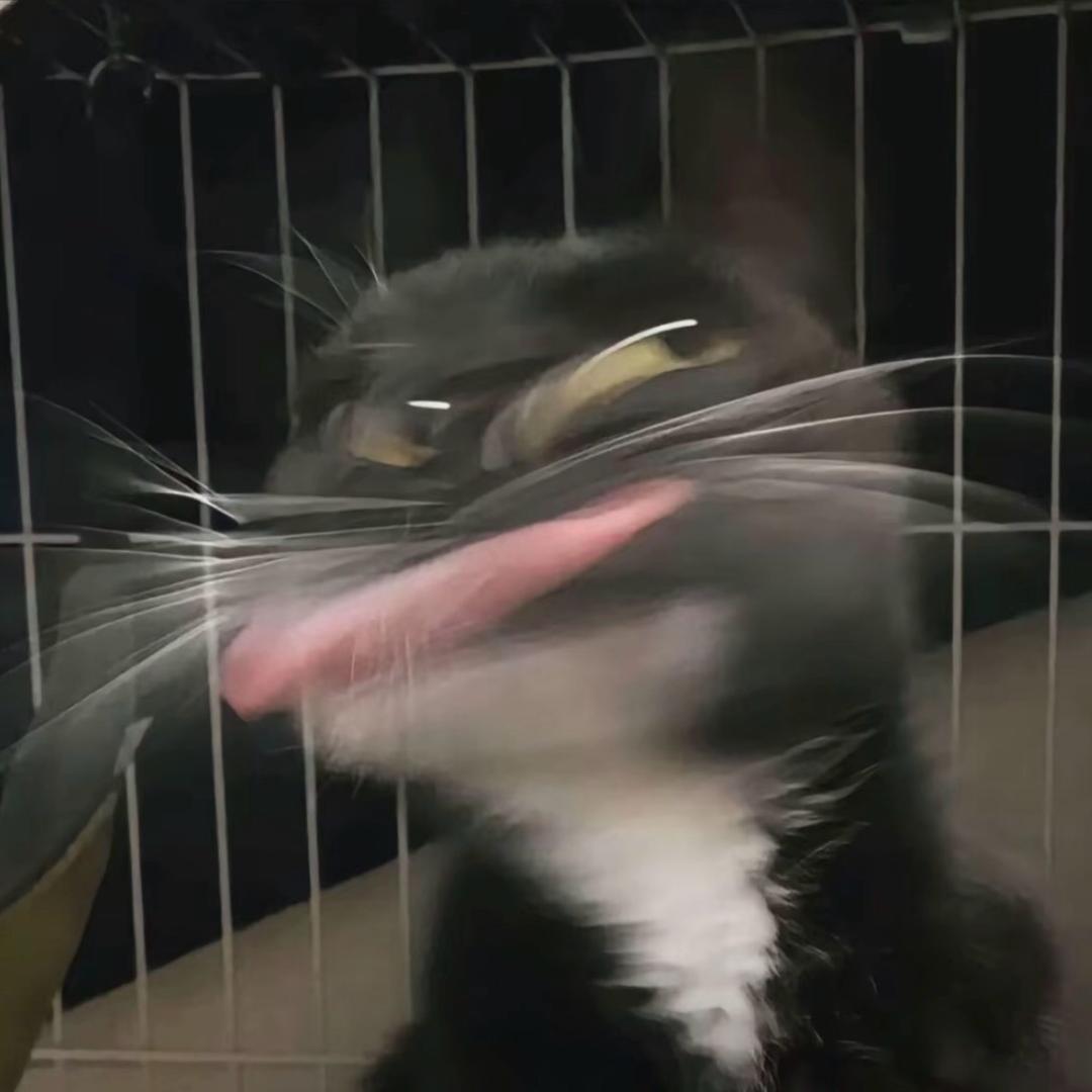 顺遂