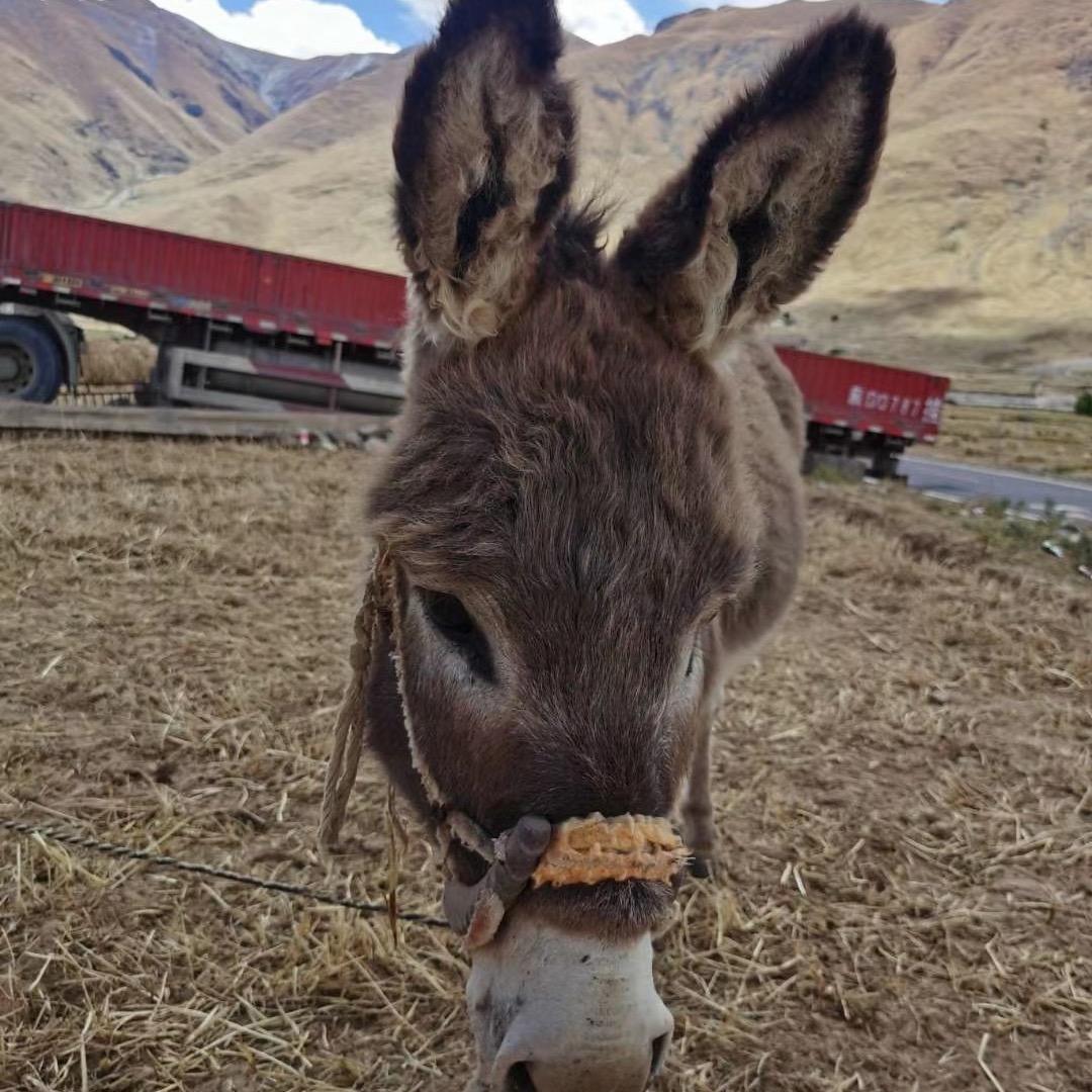 1995奶爸👨🏻‍⚕️